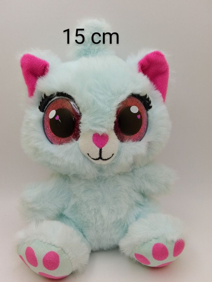 Chat turquoise