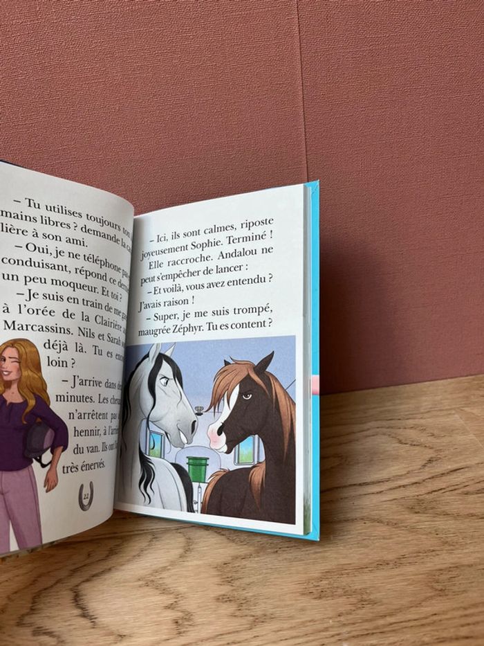 Livre la bibliothèque rose Mes amis les cheveux - photo numéro 2