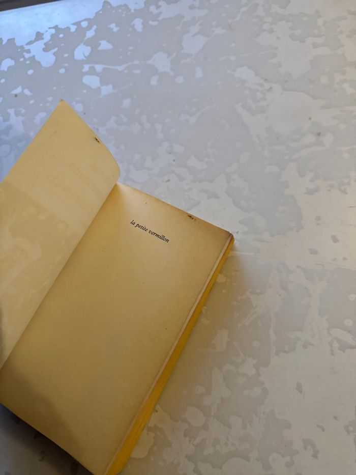 Livre plumes et crampons - photo numéro 3