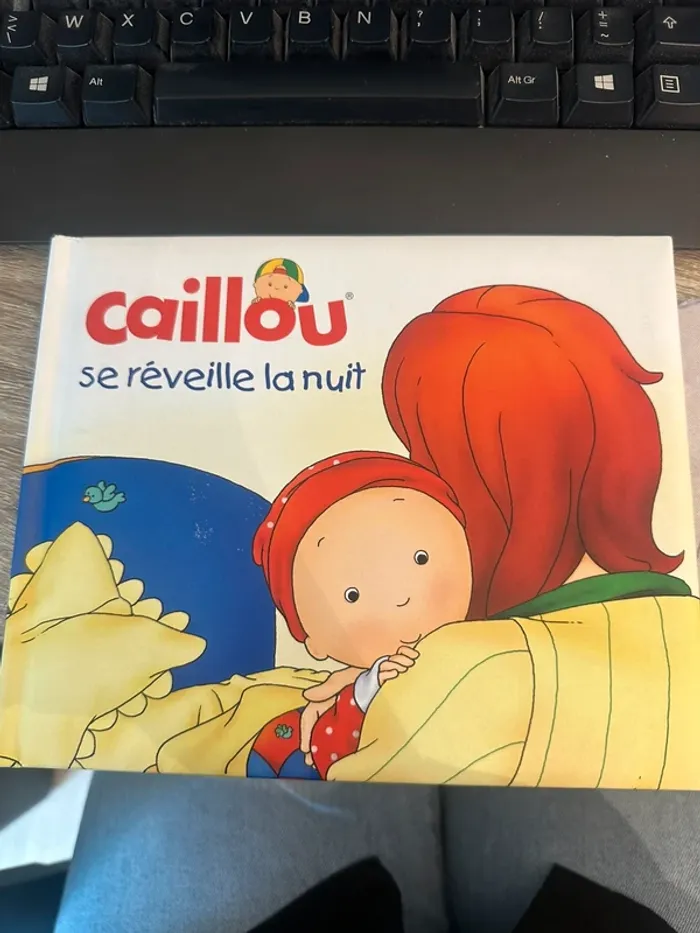 Livre enfant "Caillou se réveille la nuit"