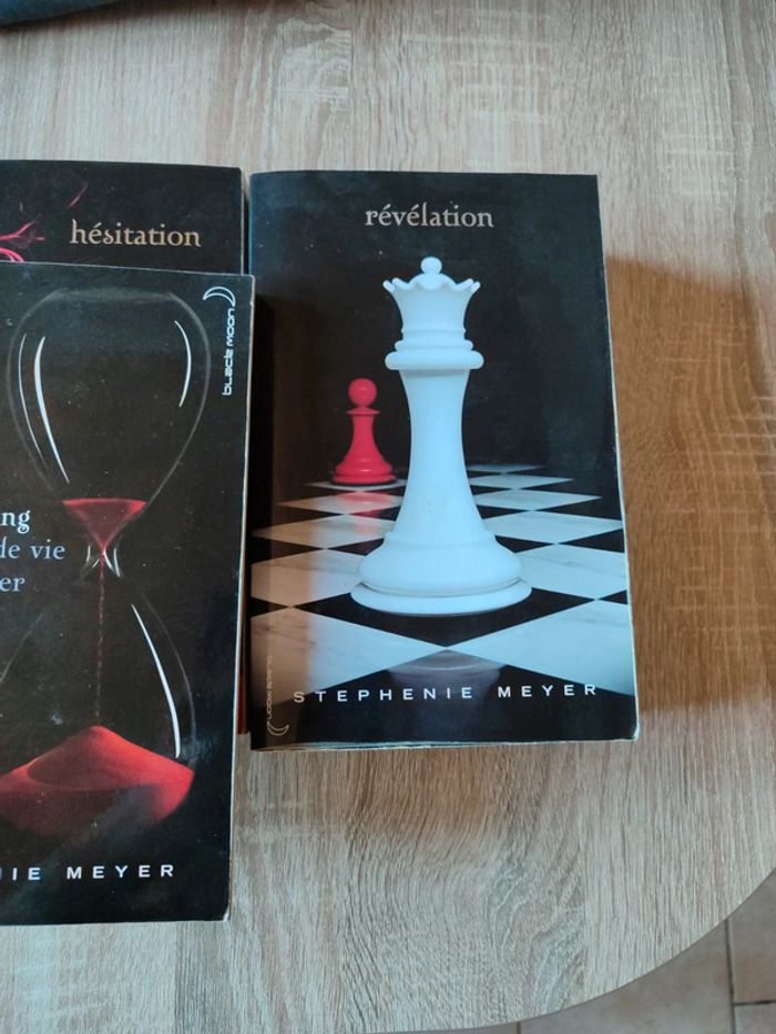 Lot livre Twilight - photo numéro 3