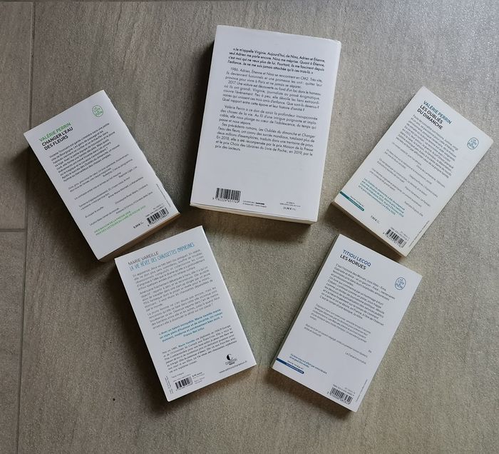 Valérie Perrin et Marie Vareille - photo numéro 2