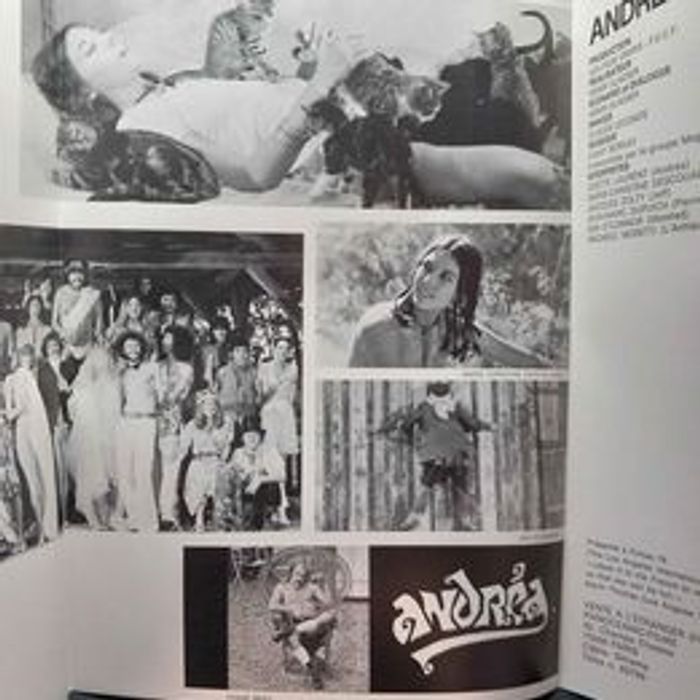 Affiche et synopsis du film Andréa - photo numéro 7