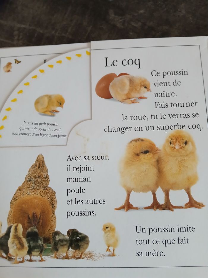 1 livre enfant - photo numéro 3