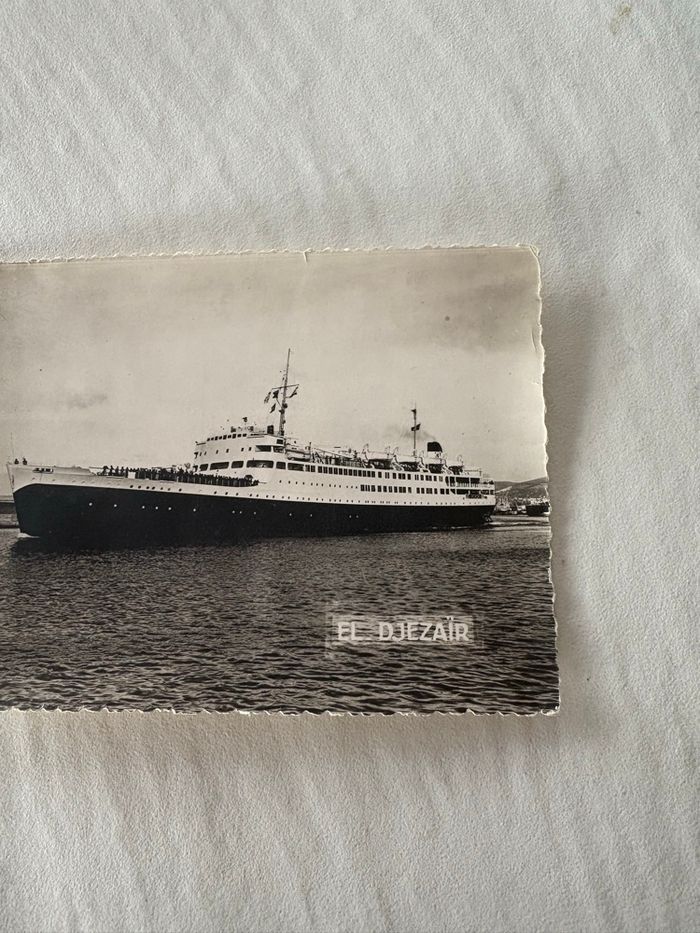 Carte postale vintage Alger - photo numéro 4