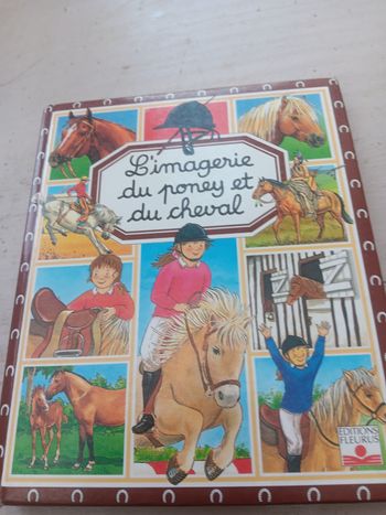 Imagerie du cheval et du poney