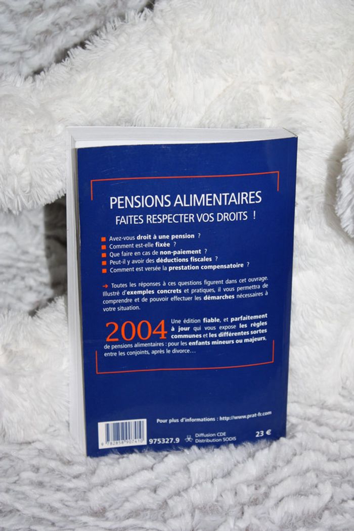 Pensions alimentaires ; faire respecter ces droits - photo numéro 3