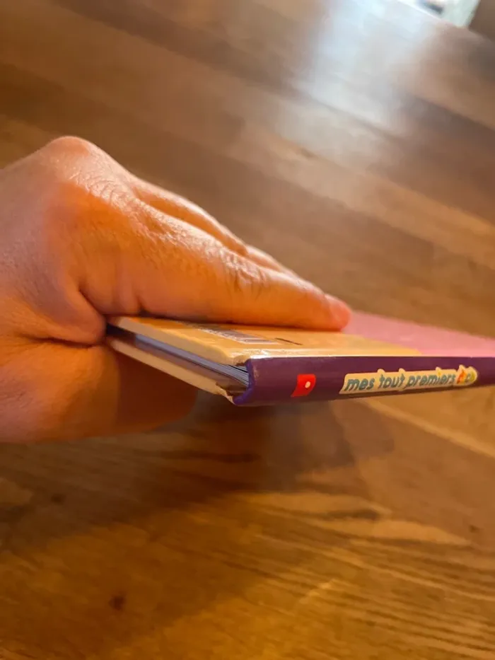 Livre Mes tout premiers Docs Les chats - photo numéro 10