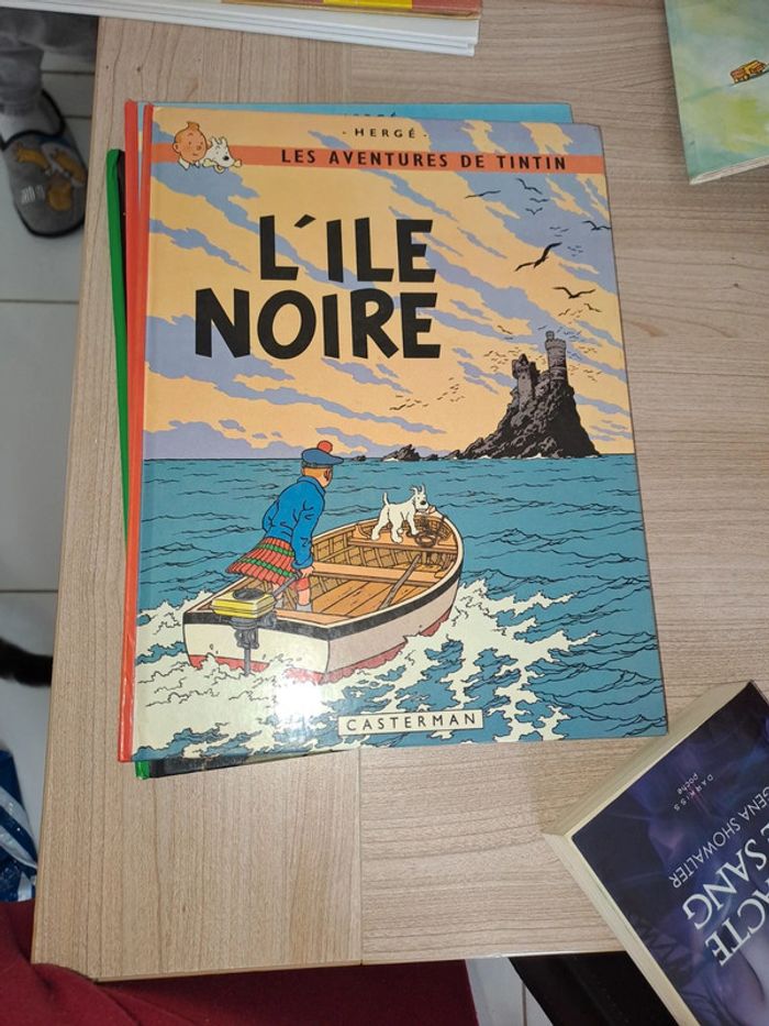 3 livres tintin - photo numéro 4