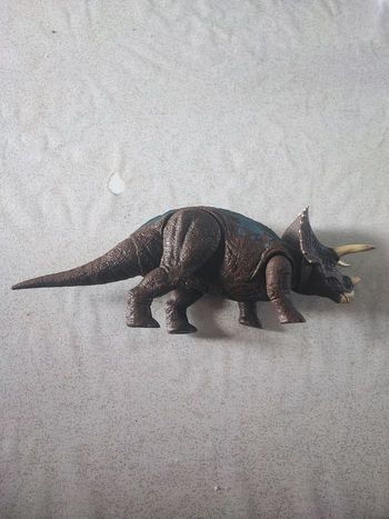 Jurassic triceratops 