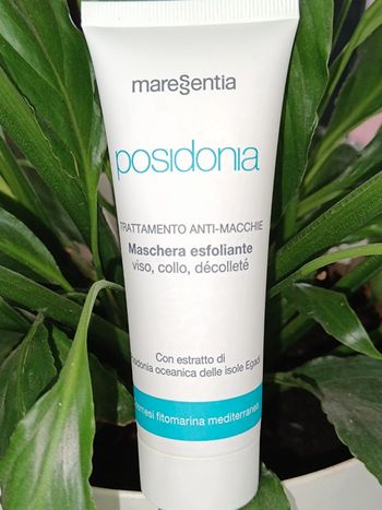 Masque Exfoliant-Posidonia🩵