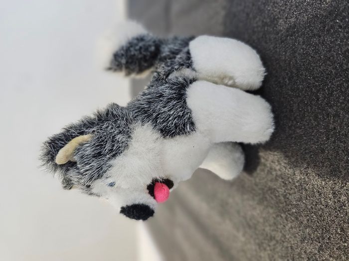 🧸 Peluche chien type Husky - photo numéro 3