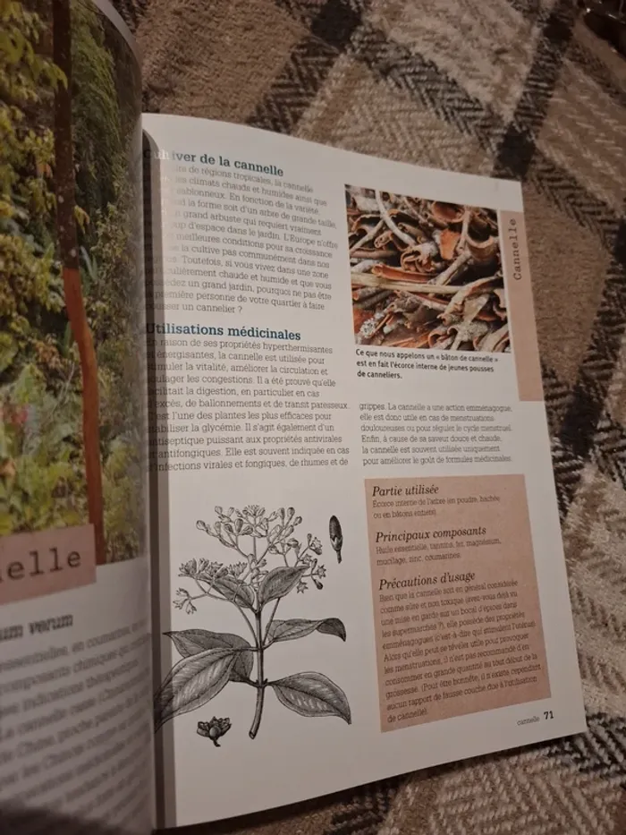 Cultiver et utiliser les plantes médicinales - photo numéro 5