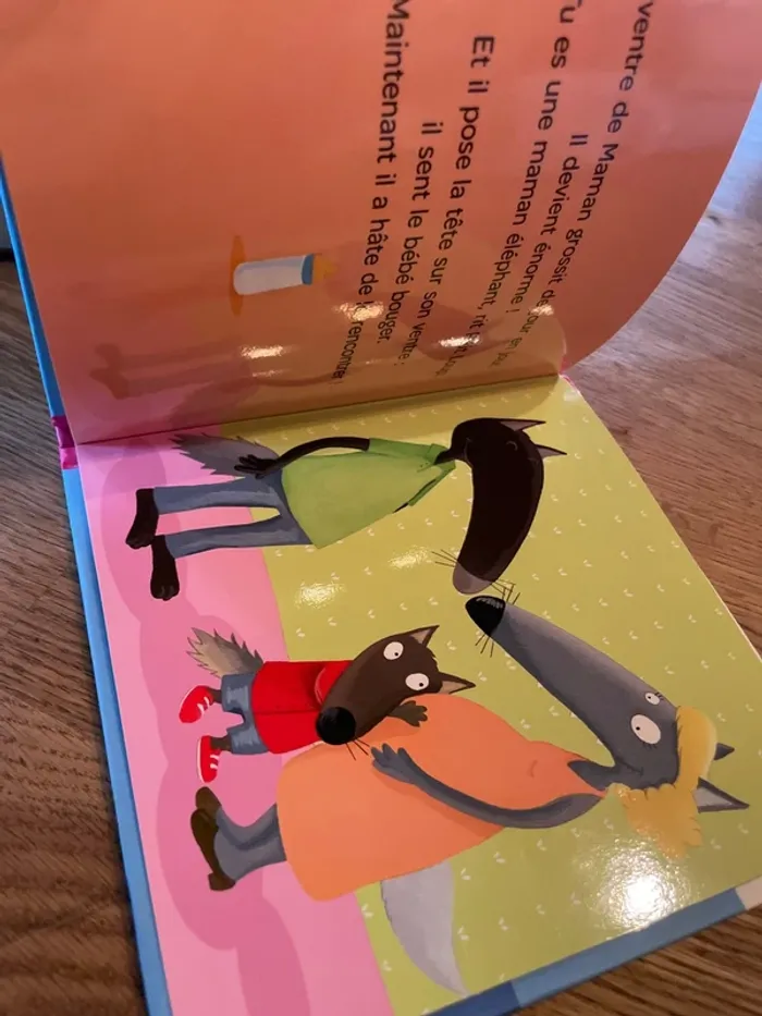 Livre P’tit Loup devient grand frère - photo numéro 7