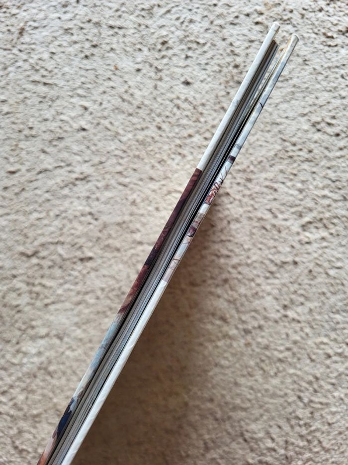 Les hommes de la Préhistoire – Jean-Laurent Monnier – Livre documentaire - photo numéro 3