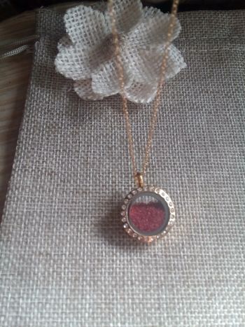 Collier médaillon rempli de poudre de pierre agate rouge