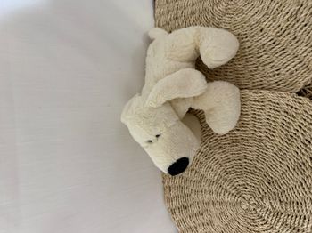 Doudou Chien Blanc LBP MAGNET
