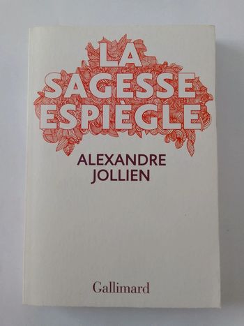 Alexandre Jollien - La sagesse espiègle