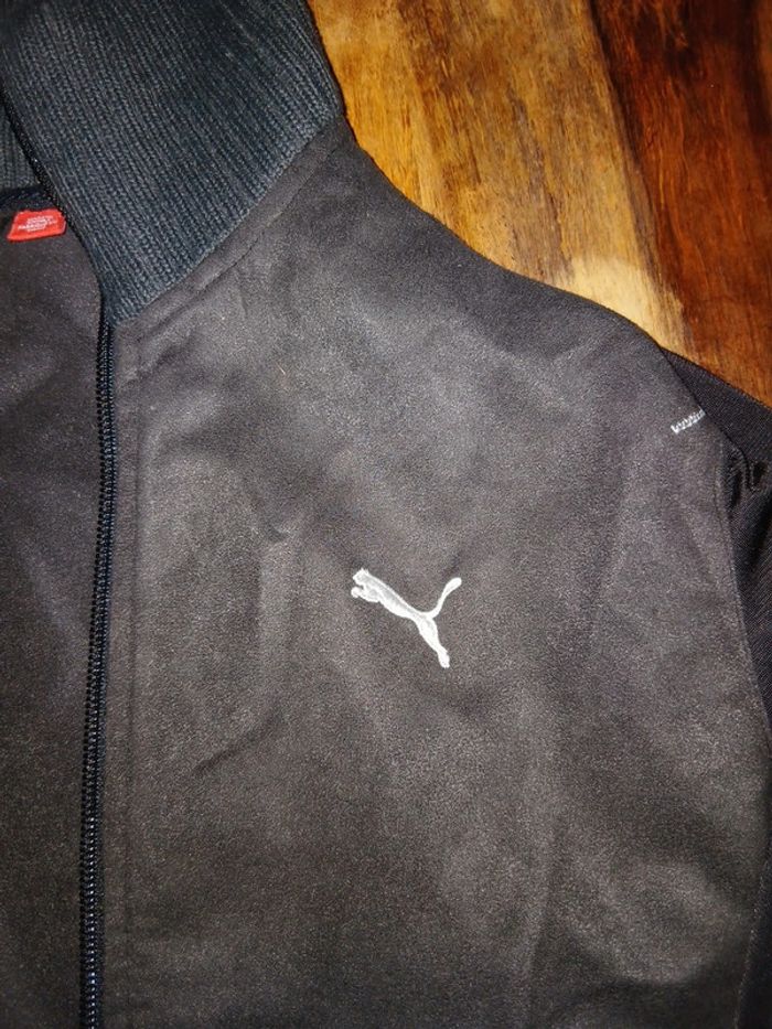 Veste femme sport taille 40 - photo numéro 3