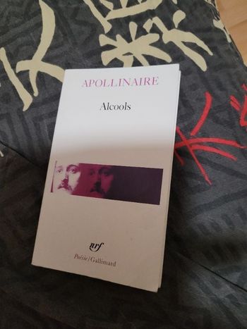 Alcools Apollinaire