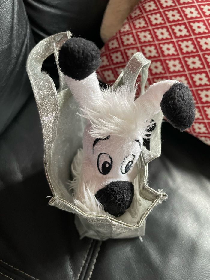 Idefix dans son petit sac - photo numéro 5