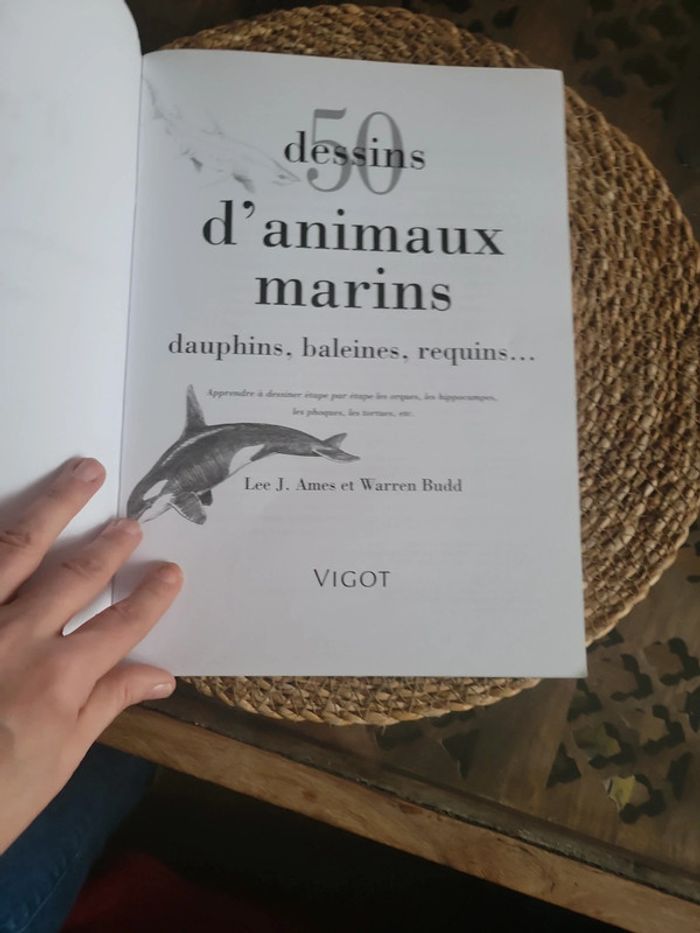 50 dessins d animaux  marins - photo numéro 5
