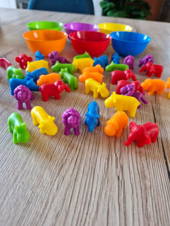 Jeu éducatif tri de couleurs et animaux Montessori - photo numéro 4