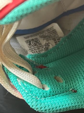 Basket Dunk Nike édition limitée rare  année  lapin