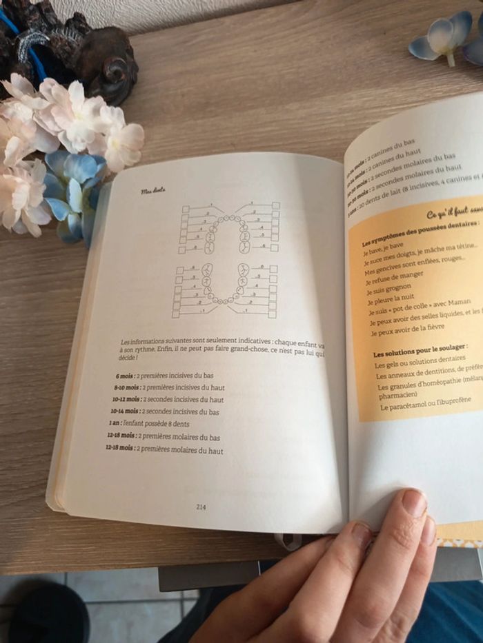 Le journal de mon bébé – Ma p’tite famille (First Éditions) - photo numéro 5
