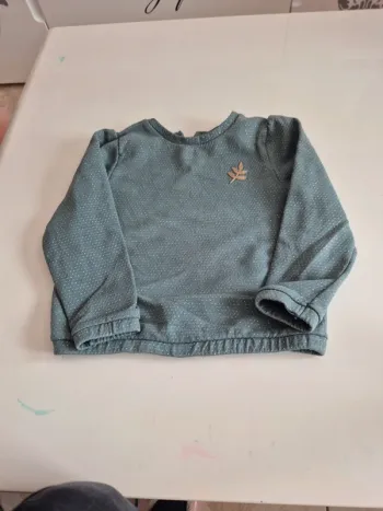 Pull vert