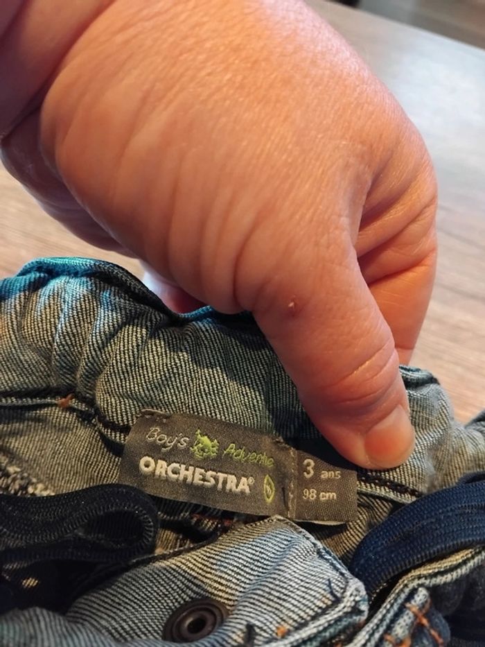 Bermuda orchestra - photo numéro 2