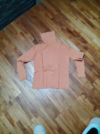 Pull Col Roulé Autre ton