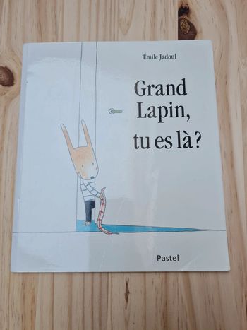 Livre École des Loisirs - "Grand Lapin , tu es là ? "