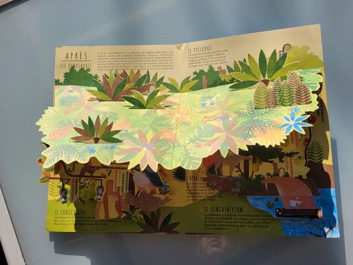Superbe livre pop-up Dessus/Dessous Dinosaures et animaux préhistoriques - photo numéro 11