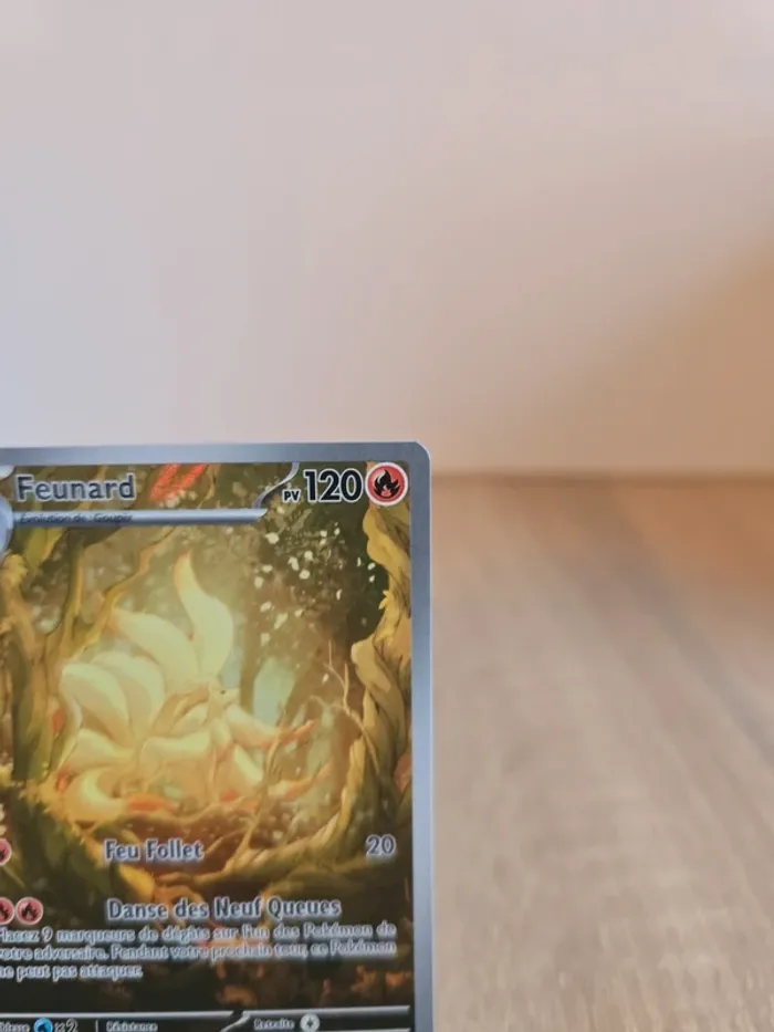 Feunard 199/197 - photo numéro 2