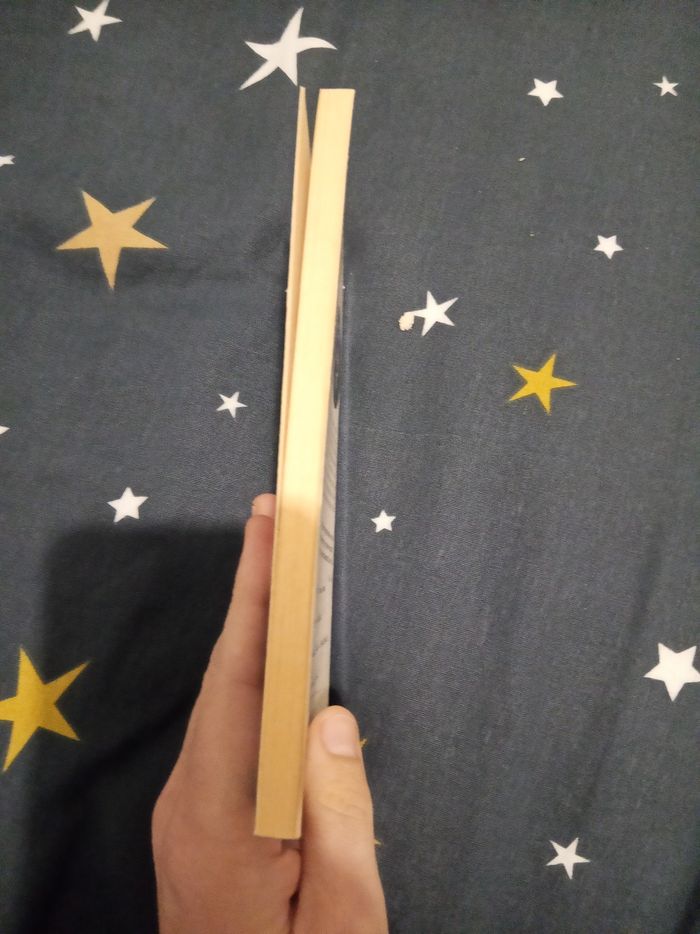 Livre (110) 📚 L'échappée belle - photo numéro 4