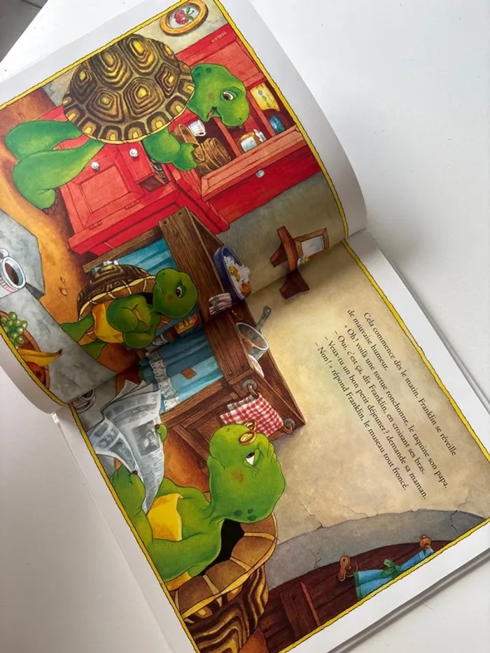 Livre Franklin est contrarié - photo numéro 5