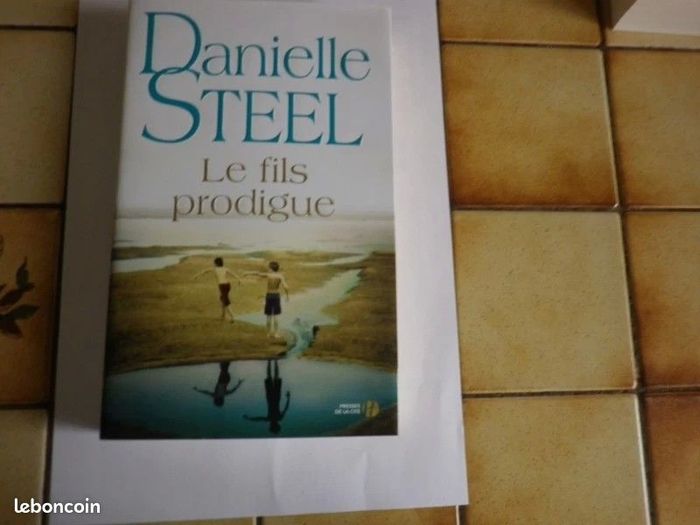 Livre Le Fils prodigue – Danielle Steel - grand format (roman broché) - photo numéro 3