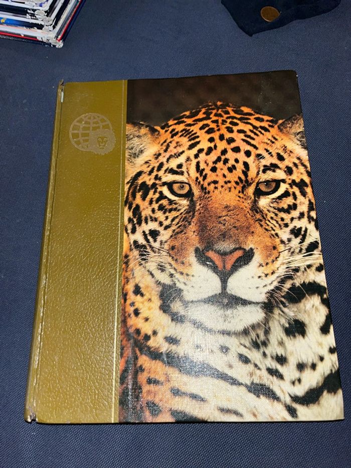 Livre pour enfants le royaume des animaux