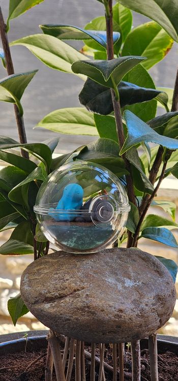 Super figurine Pokemon Nintendo Terrarium Maraiste 