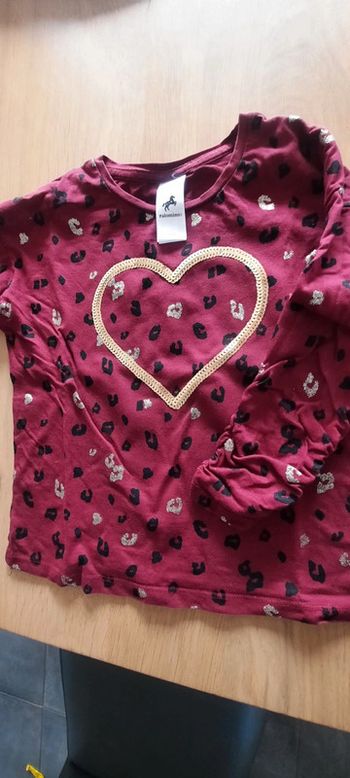 Tee shirt manches longue 6 ans palomino