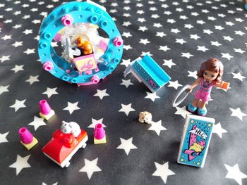 Lego Friends 41383