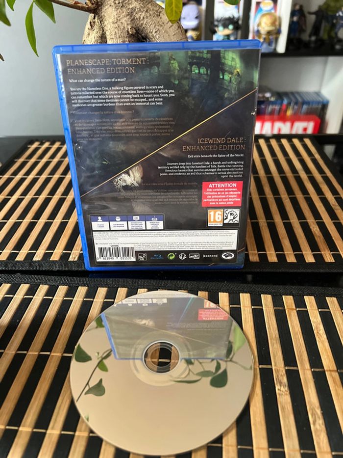 Jeu de ps4 torment icewind - photo numéro 2