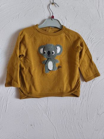 Sweat koala