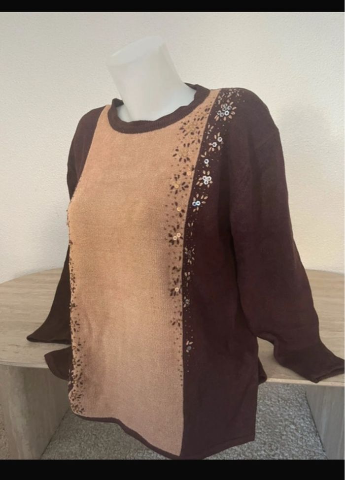 Pull d’hiver claire Delandes taille 42/44 - photo numéro 2