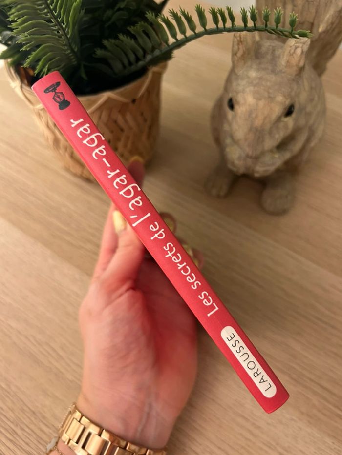 Livre Les secrets de l’agar-Agar - photo numéro 3