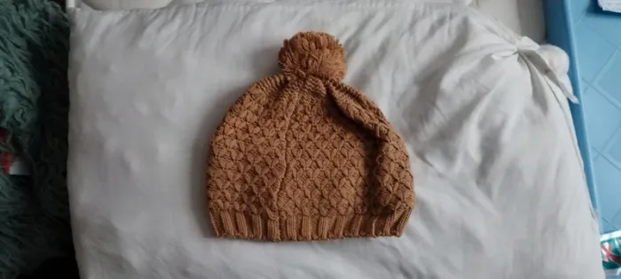 Bonnet - photo numéro 2