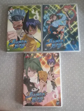 Lot animé Shaman King