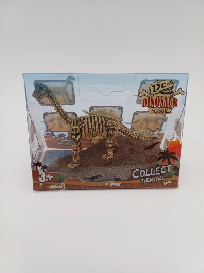 Dinosaur Fossil – Squelette de Dinosaure à Collectionner - photo numéro 4