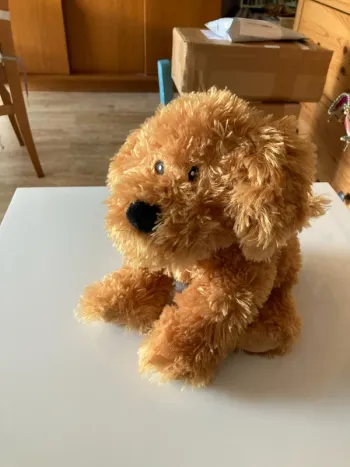 Peluche chien toute douce
